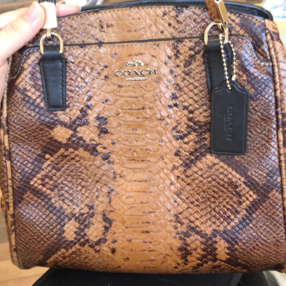 Coach Brown and Black Snakeskin Bag - Picture 13 of 14